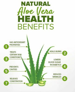 Aloe Vera